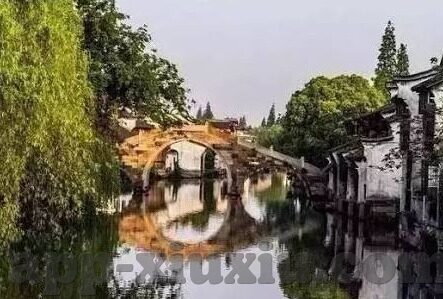 大象传媒一二dx-探索大象传媒一二dx的多元化发展路径