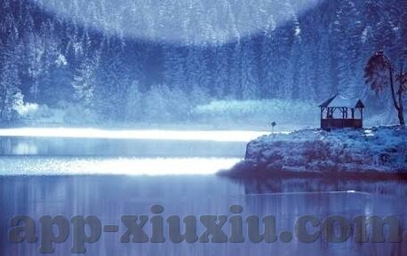 可以看大象传媒的软件-探索大象传媒的奇妙世界，一款不可错过的软件体验