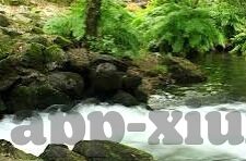 麻豆精选视频在线-麻豆精选视频在线，丰富生活的视觉盛宴