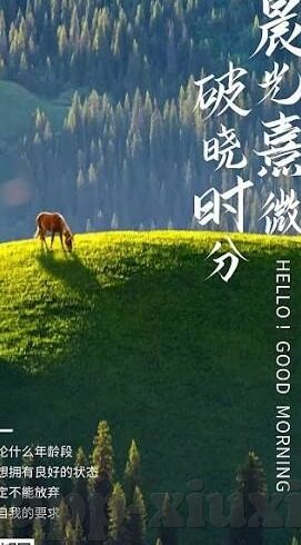 麻豆日记下载app-麻豆日记app，掌握生活的艺术与温度