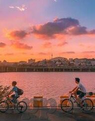 麻豆文化传媒苏娅作品-麻豆文化传媒，苏娅作品的独特艺术符码