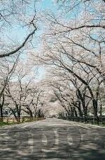 糖心app好用吗-一、界面友好，体验流畅