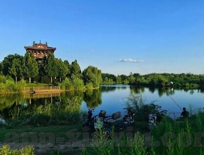 糖心vlog入口网站-深入了解网络生活，关于糖心Vlog的探索之旅