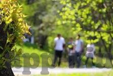 糖心直播app主页-如何在糖心直播APP主页寻找你的兴趣与娱乐新天地？
